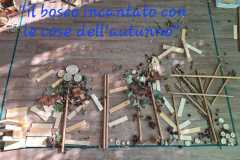 IL-BOSCO-8